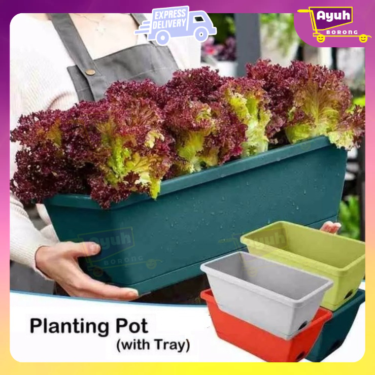 【FREE PLANT TRAY】50Cm Nordic Style Planter Box Vegetable Garden Tools ...