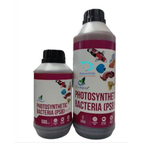 ECO AQUAS Photosynthetic Bacteria (PSB) | Shopee Malaysia