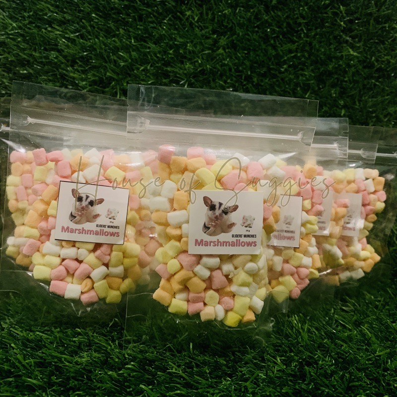 Sugar glider treat Marshmallow 20g Shopee Malaysia