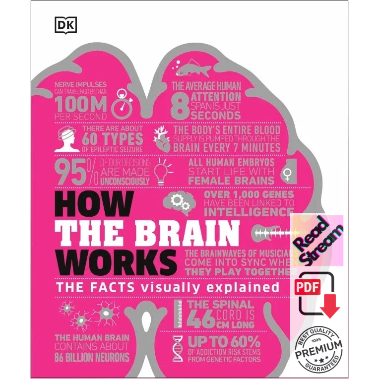 How the Brain Works : The Facts Visually Explained | Shopee Malaysia