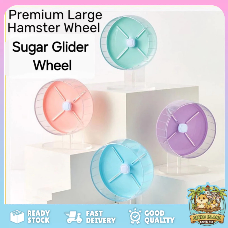 Running Wheel Large 26cm 20cm (sugar glider) (hamster) (syrian) (large ...