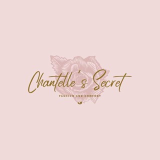 Chantelle's Secret Seamless Push Up Wireless Thin Bra Premium Nylon Women  Pure Comfortable Skin Adjustable Baju Dalam Wa