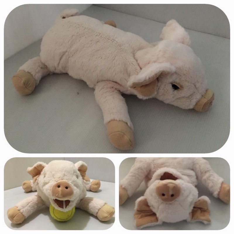 FOLKMANIsTM - PIGlet Puppet (Branded) | Shopee Malaysia