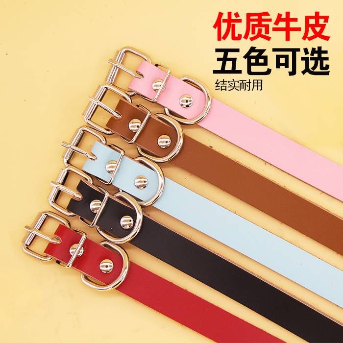 Pet dog collars. Pet Collar Dog Collar Small MediumSized Dog Cat