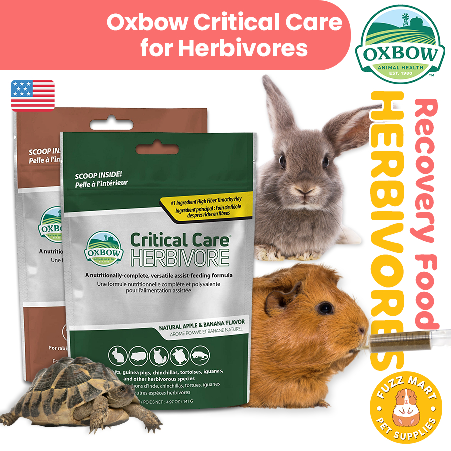 Oxbow Critical Care Apple & Banana for Herbivores (141g/454g) Recovery Food for Guinea Pigs