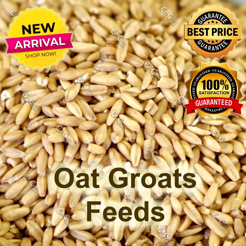 500g Oat Groats For Birds And Hamsters Small Pet Feeds (Brd) (Smpt Lovebird Food Shopee Malaysia