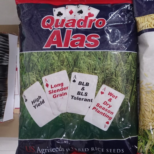 QUADRO ALAS HYBRID RICE SEEDS 3 KILOGRAMS PACK | Shopee Malaysia