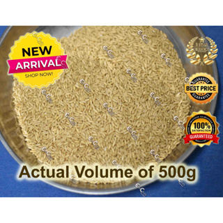 500g Oat Groats For Birds And Hamsters Small Pet Feeds (Brd) (Smpt ...