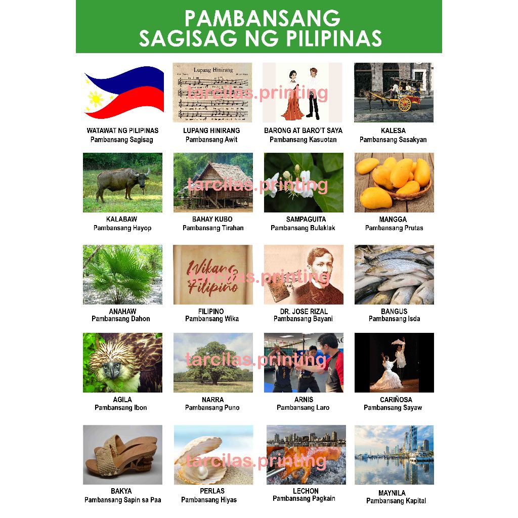 Sagisag ng Pilipinas Chart A4 Laminated High Print Quality | Shopee ...