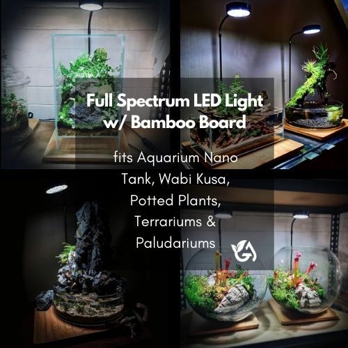 Led Lights w/ Bamboo Board V2 w/ built in timer and dimmer [For