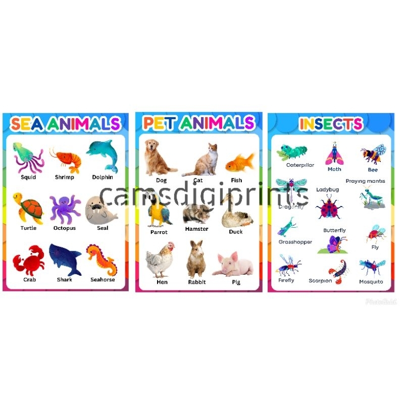 CAMSDPS | Educational Learning Charts for Kids | A4 Laminated | Shopee ...