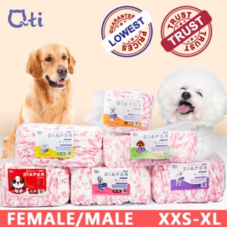 Xxs disposable best sale dog diapers