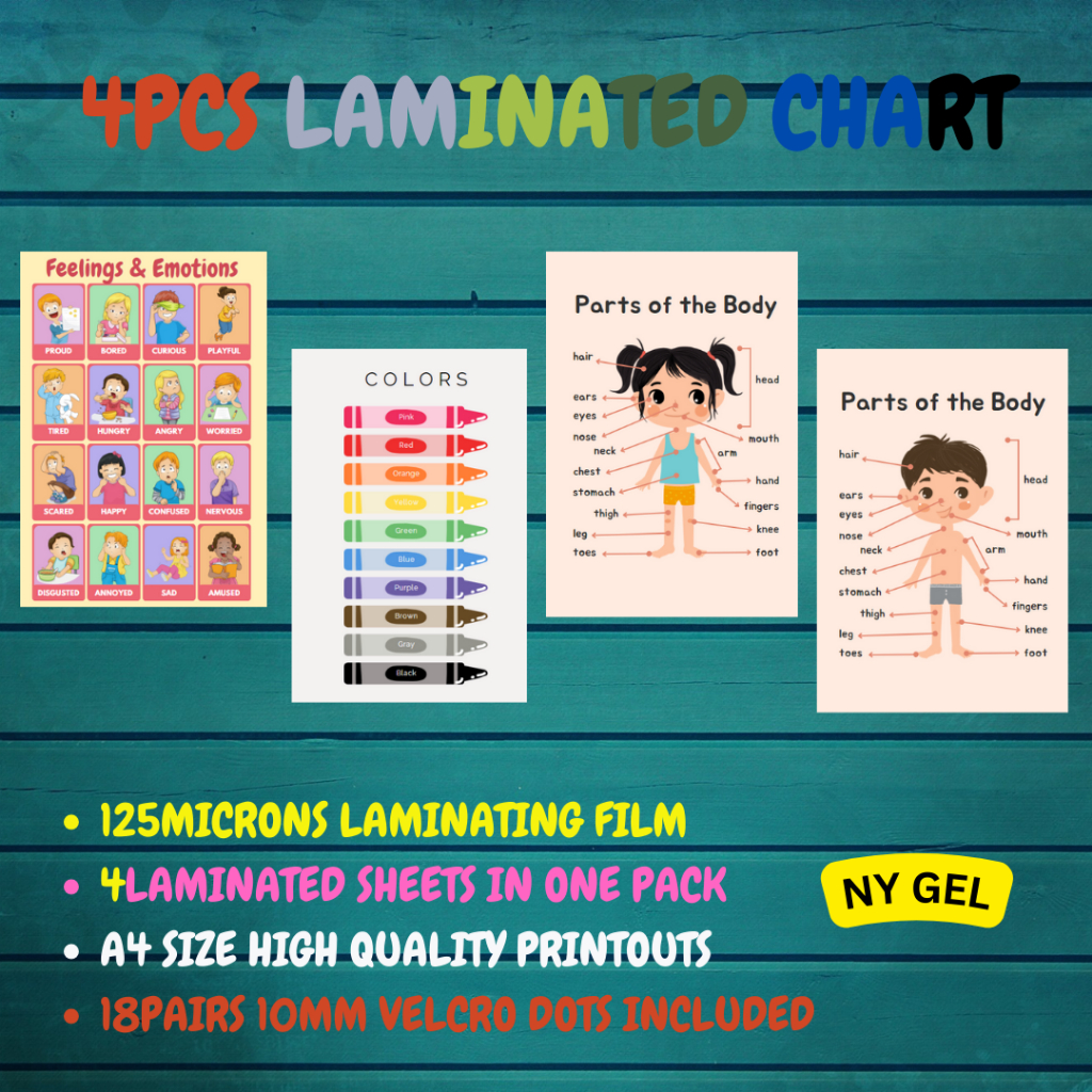 Educational Laminated Chart For Kids High Quality Prints | Shopee Malaysia