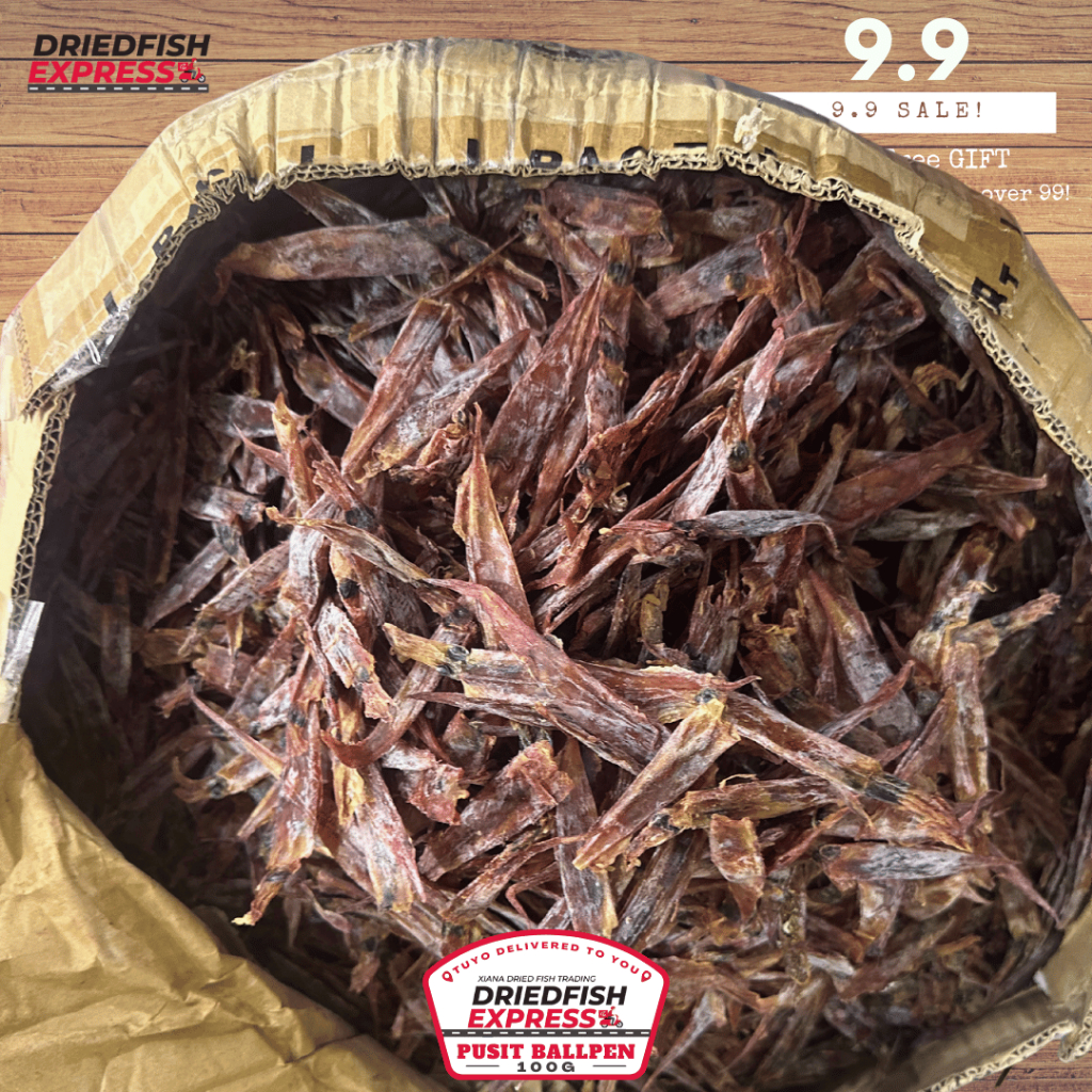 100g Dried Pusit Ballpen vacuum sealed from Palawan | Shopee Malaysia