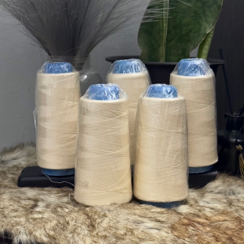 Beige color threads for sewing session sold 5pcs per/bundle | Shopee ...