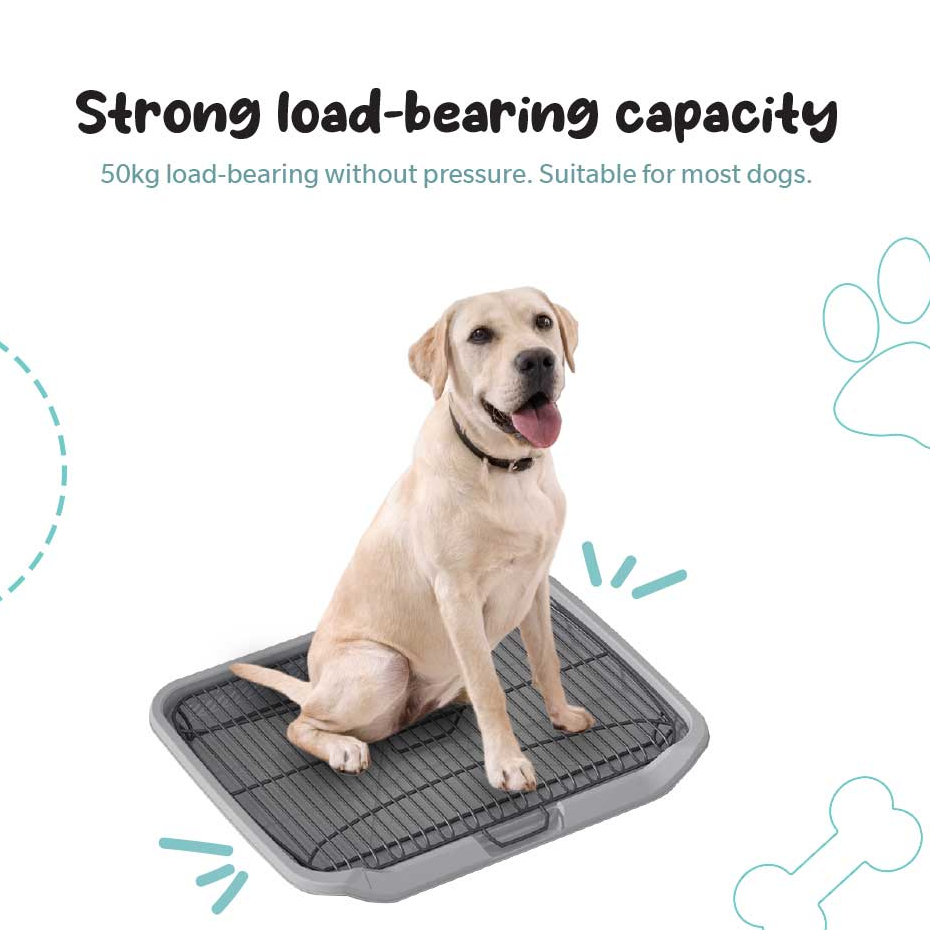 Stainless Steel 65*50*7CM Dog Poop Tray Training Potty Pad With Stand ...