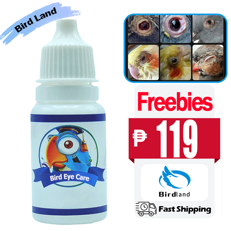 One Eye Cold Eye Drops Medicated for Birds lovebird cockatiel 10ml Ubat ...