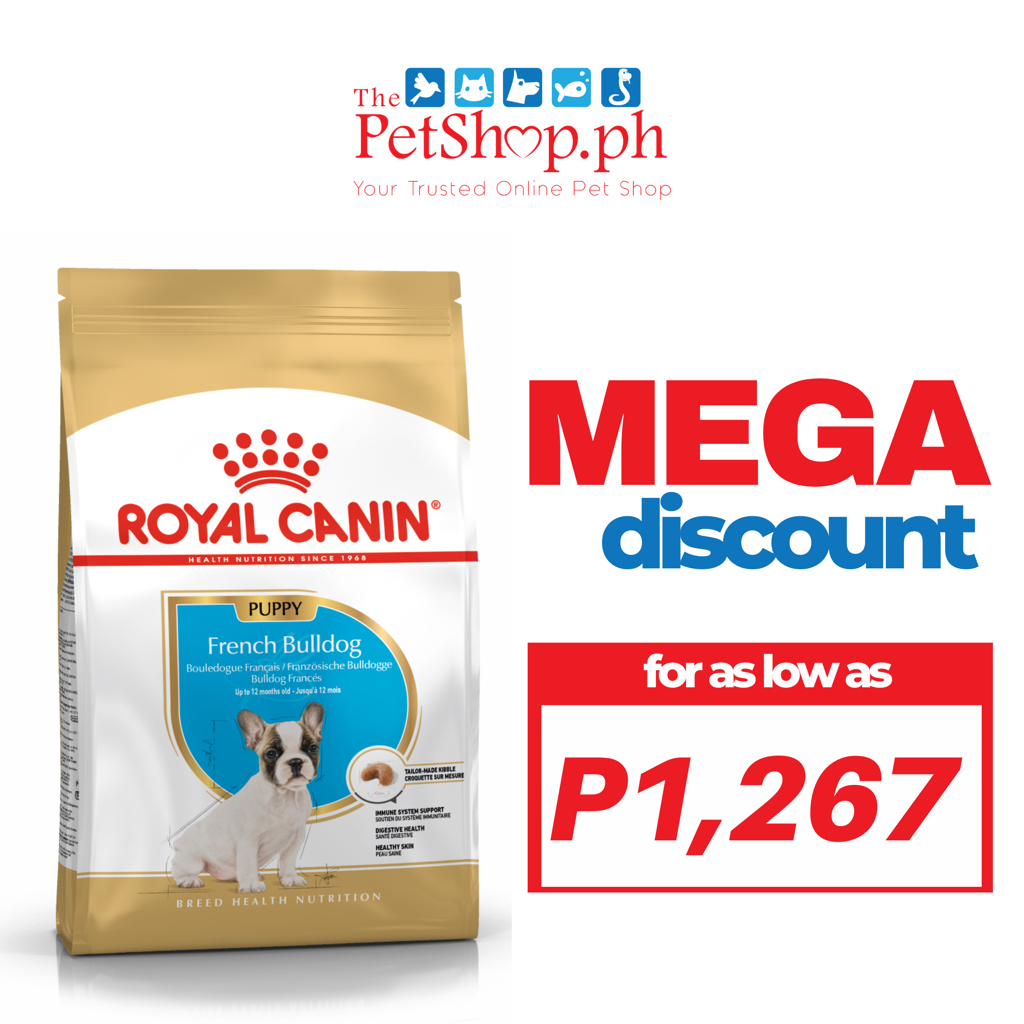 Royal Canin French Bulldog Puppy 3kg Dry Dog Food Breed Health ...