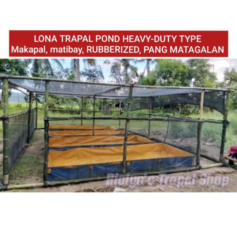 AZOLLA POND LONA TRAPOND HEAVY-DUTY TYPE PANG MATAGALAN FISH POND ...
