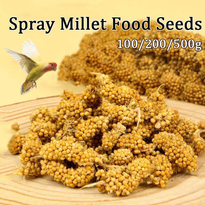 Curated visual reference: Picture Idea: Spray Millet For Birds Parrot Pigeon Food Seeds Food Supplement