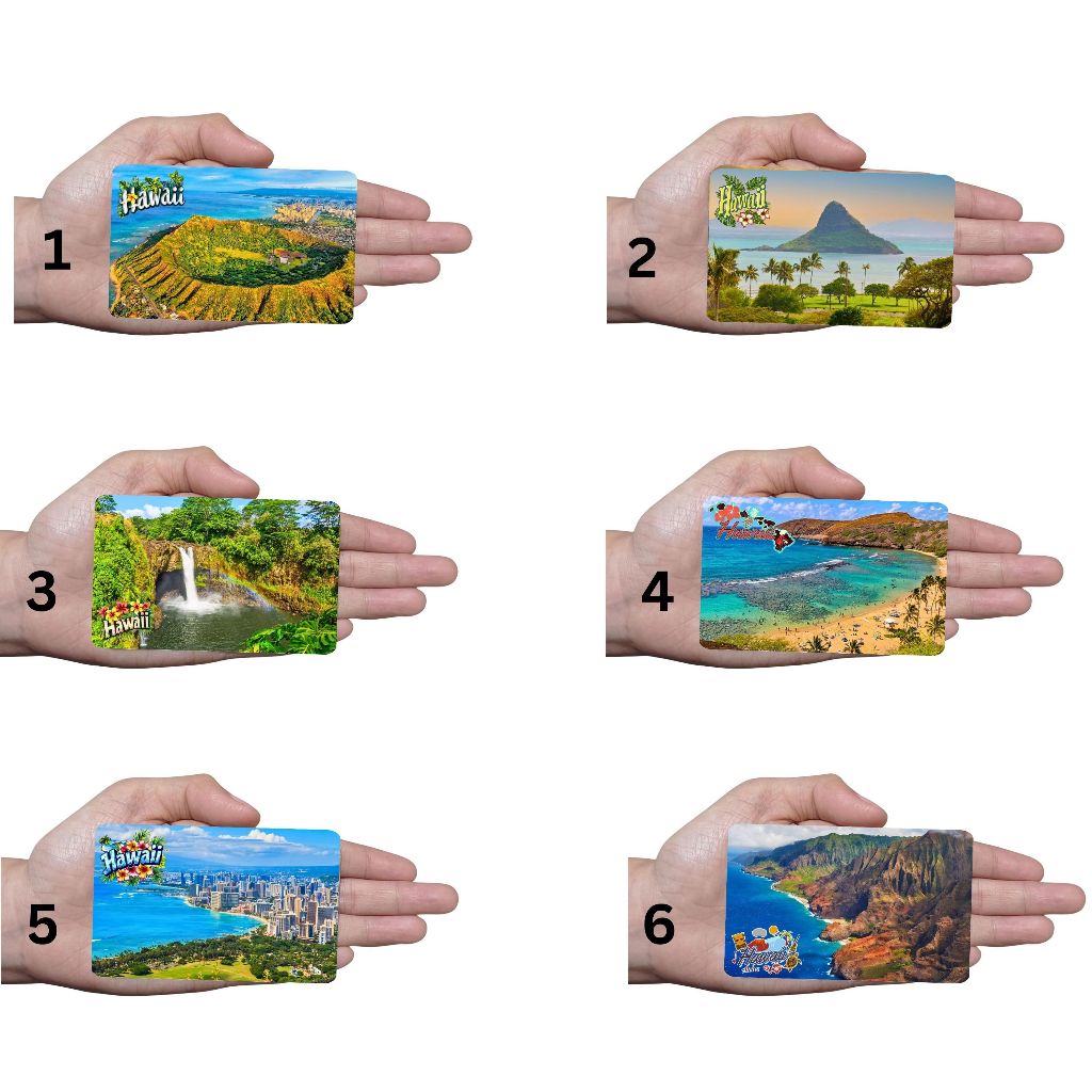 Rubber Ref Magnet Souvenir - New Random Hawaii Design | Shopee Malaysia