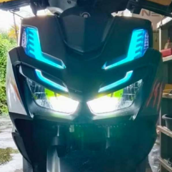 EURO SAMURAI 155i KILAY TINT+GAUGE PROTECTOR W/ FREE KALMOT STICKER ...