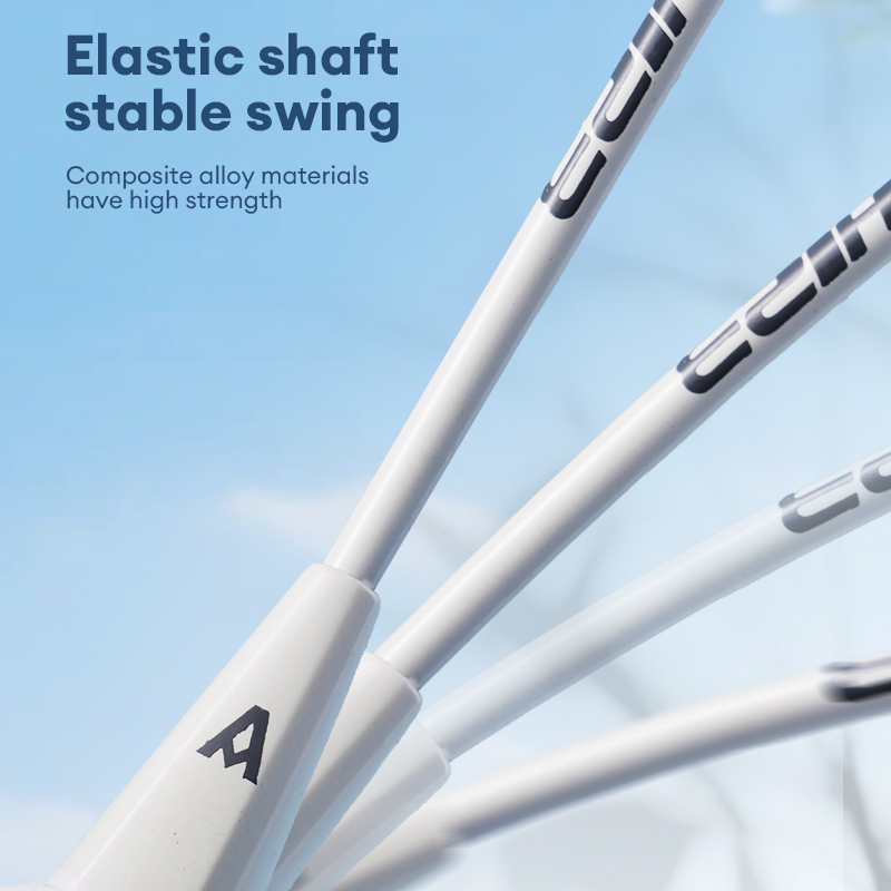 Deli Agnite FH123 Iron Split Badminton Racket (2 PCS/Pair) | Shopee ...