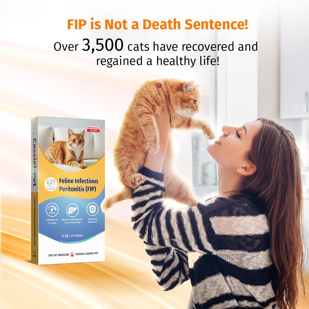 Cassiel Pet FIP For Fever Weight Loss Red Eye Difficulty Breathing