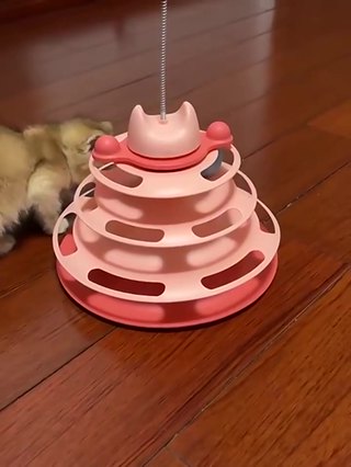 Spinning Balls Cat Toy Cat Tower Mainan Kucing Cat Tower Japanese ...