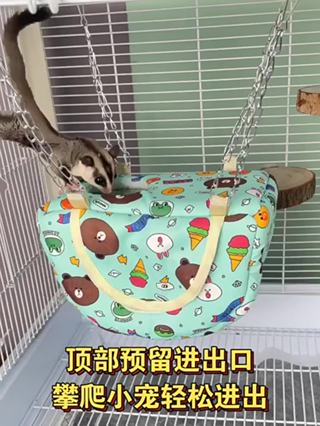 Sugar Glider Cotton Pet Nest Hamster Flower Branch Mouse Hammock Summer ...