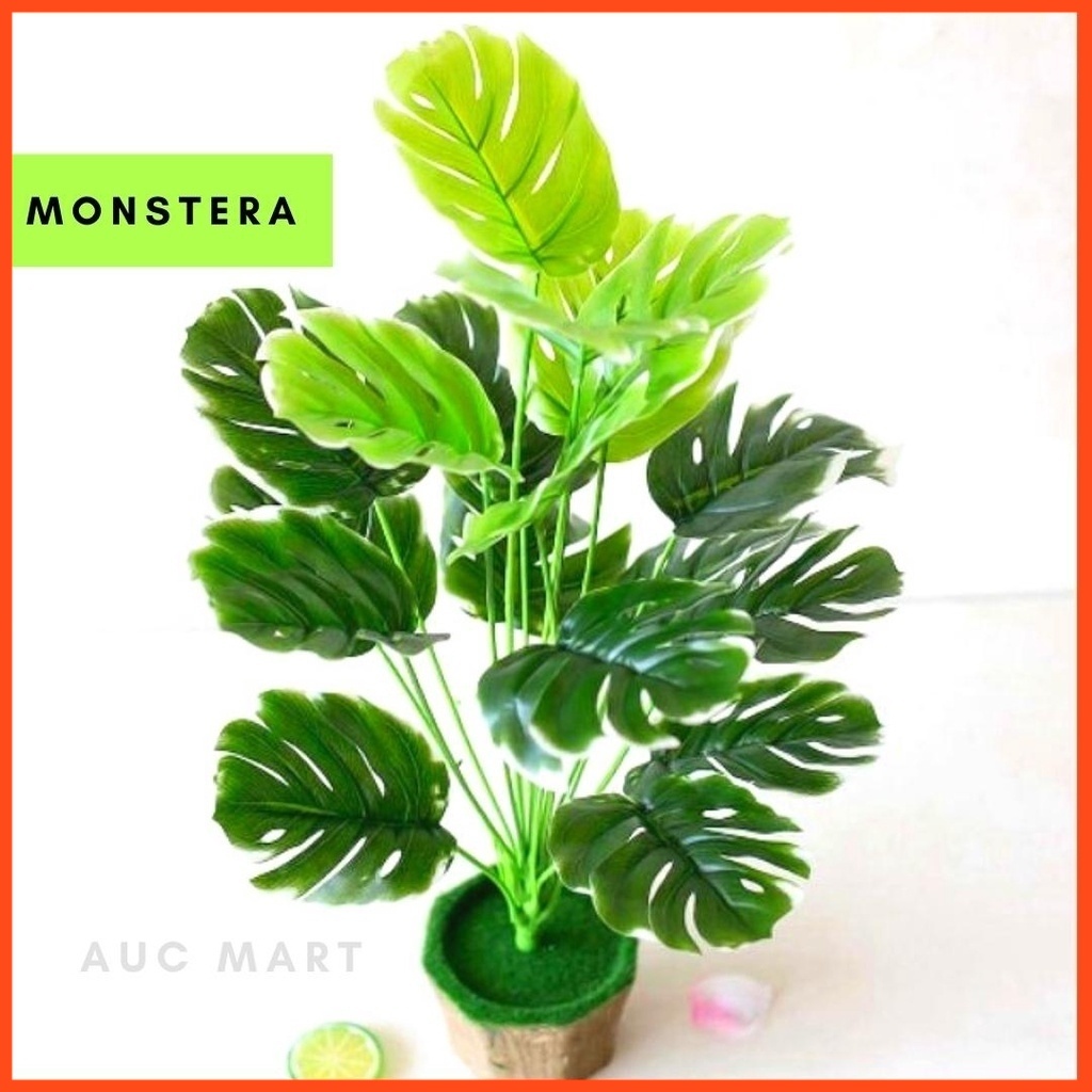 Artificial Monstera Plant White Green Leaf Pokok Bunga Hiasan Dalam ...