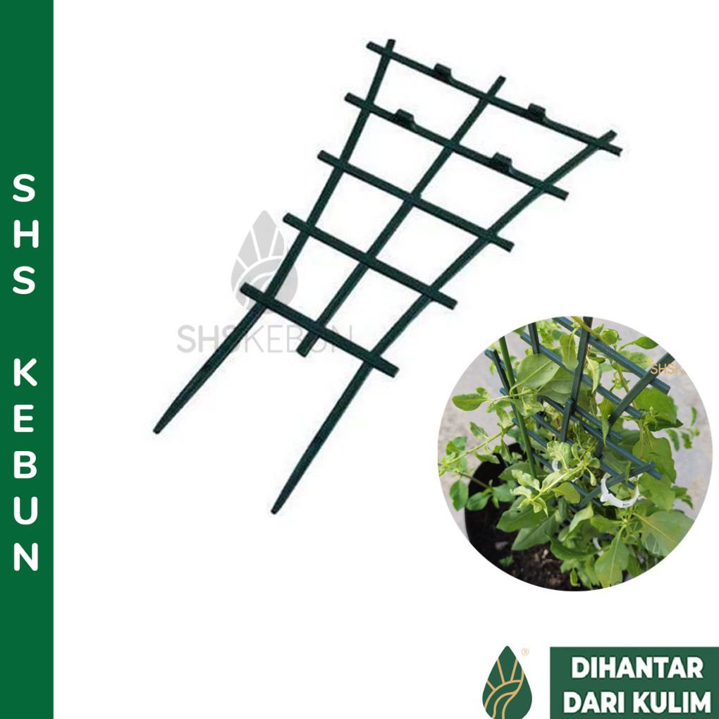 2 pcs Flower Climbing Trellis Stand Plant Climbing Support Frame Alat ...