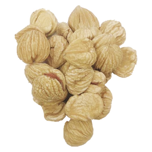 NUT CHESTNUT 风律/栗子 (5L) | Shopee Malaysia