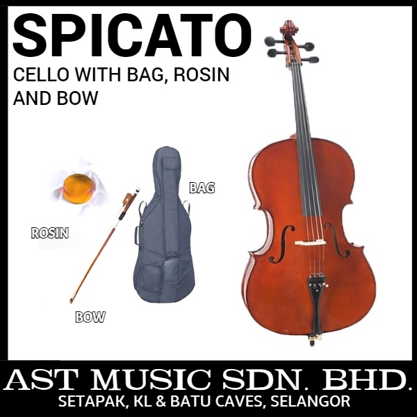 Spicato Italy Cello CV101 4/4 Full Size Cello Intermediate Cello With