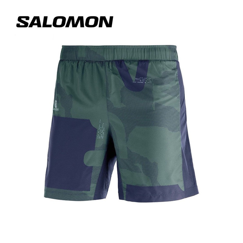 Salomon agile 2 sales in 1 shorts