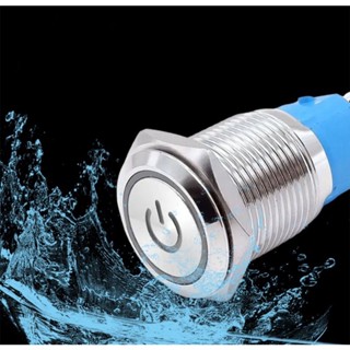 CAR LED ON OFF PUSH BUTTON POWER SWITCH Momentary Switch Intrerupator ...