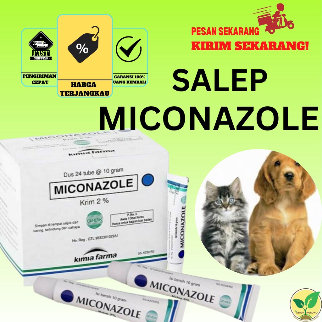 Miconazole Nitrate Ointment 10g Mushroom Wound Infection Non Scabies
