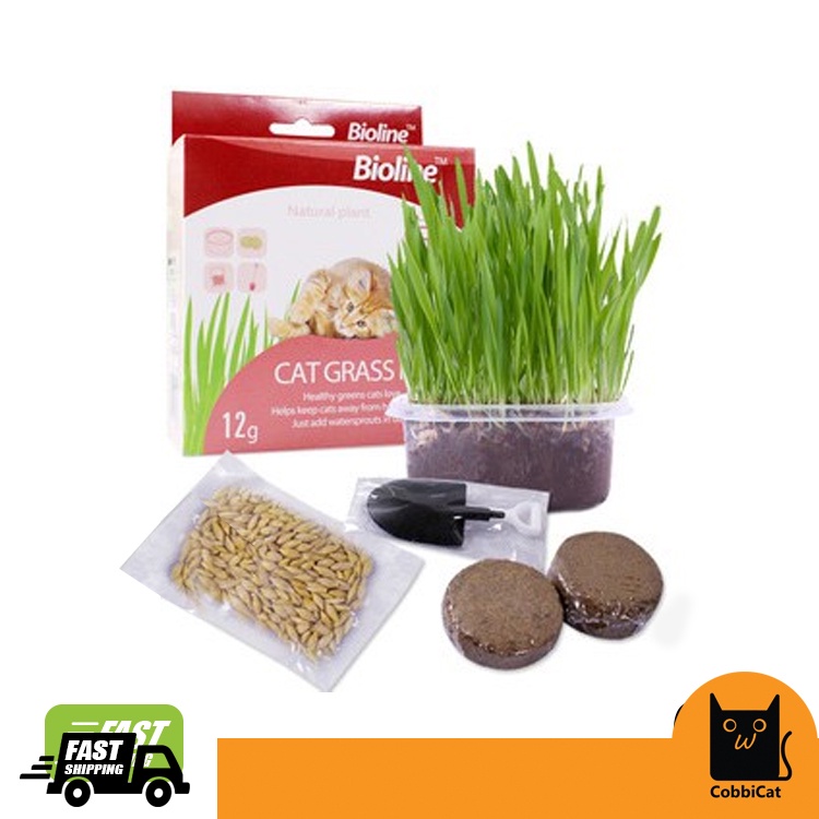 BIOLINE CAT GRASS KIT 12g Shopee Malaysia