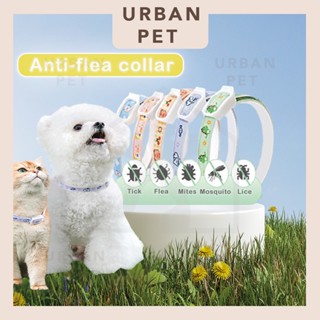 Bear shop flea collar