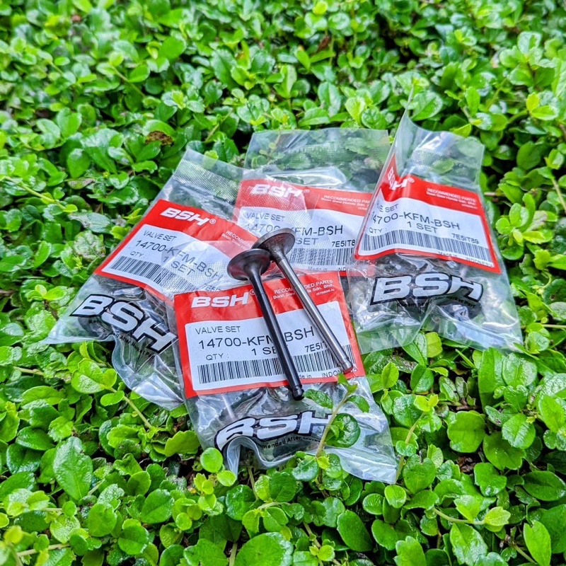HONDA EX5 VALVE SET INTAKE+EXHAUST ORIGINAL (14700KFMBSH) Shopee