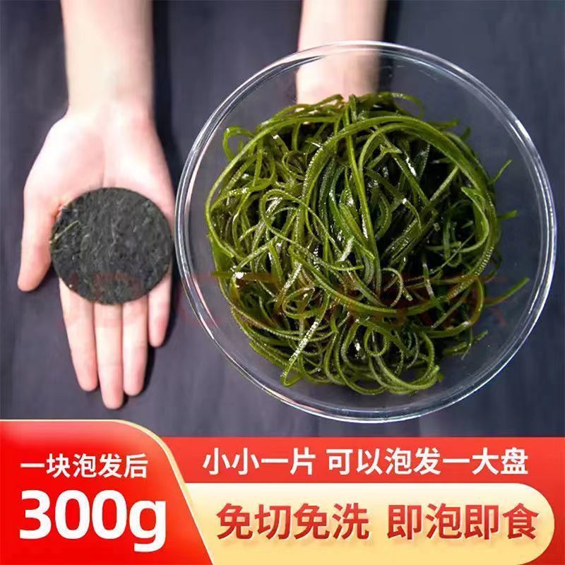 霞浦压缩海带丝圆饼小包装无沙免煮凉拌菜非裙带菜下饭菜商用 | Shopee Malaysia