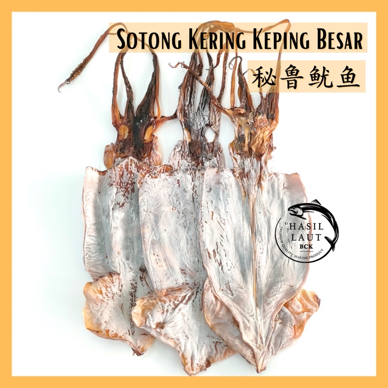 秘鲁鱿鱼(需泡发) | Sotong Kering Keping Besar (Perlu Direndam) | Dried Squid ...