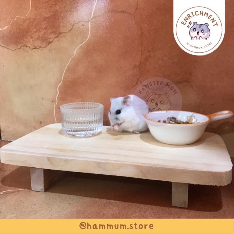 Hamster Platform With Climbing Ladder, Wooden Play Stand, Guinea Pig Playground With Fence, Activity Toy For Small Animals, Squirrel Gerbil Squirrel Rat