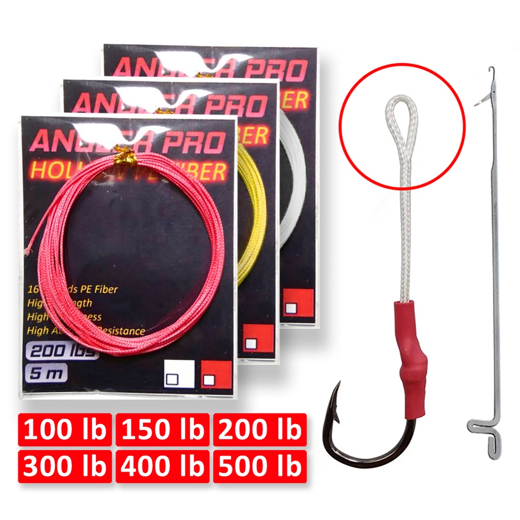 T&eacute;l&eacute;chargement Wels Catfish Silurus Glanis