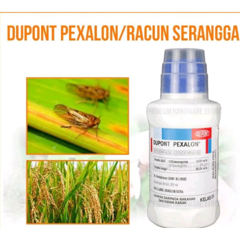 DUPONT PEXALON 250MLTriflumezopyrim 10% Brown Planthopper Paddy ...