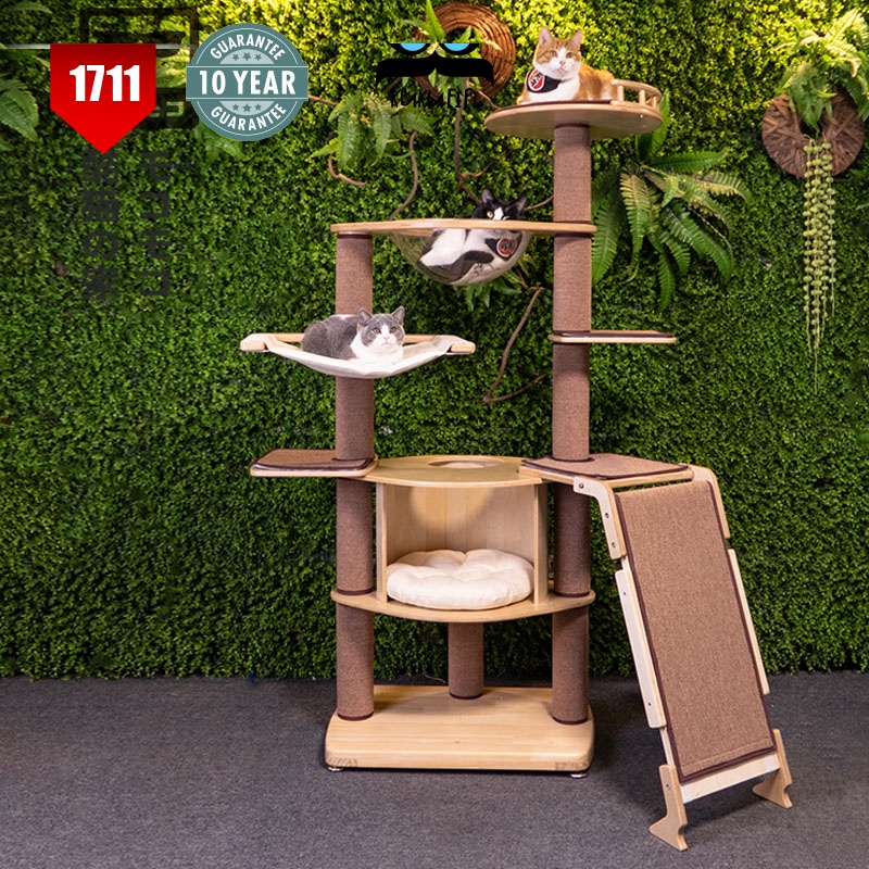 Large Natural Oak Wood Cat Tree Tower with Transparent Sphere Cat Bed