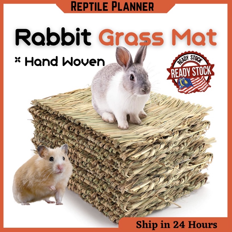 Handmade Natural Rabbit Grass Chew Mat Small Animal Hamster Guinea Pig ...