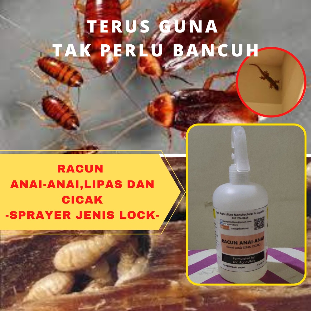 Racun Anai Anai Rumah ,Lipas dan Ubat Cicak Paling BerkesanTidak