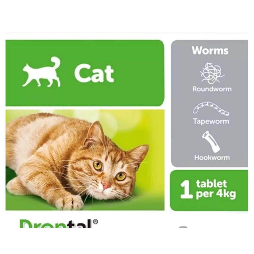 Drontal Cat Tablets (1 x tablet) Treatment and Control Intestinal Worms