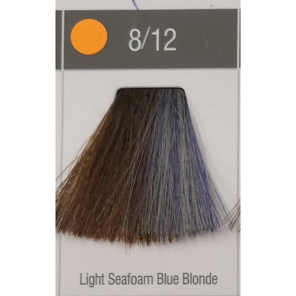 Yougee Professional Hair Color Cream Organic Colour Cream Shopee Malaysia